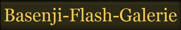 Basenji-Flash-Galerie
