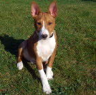 BALU