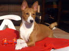 BALU