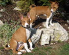 BALU & KIANGA