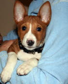BALU