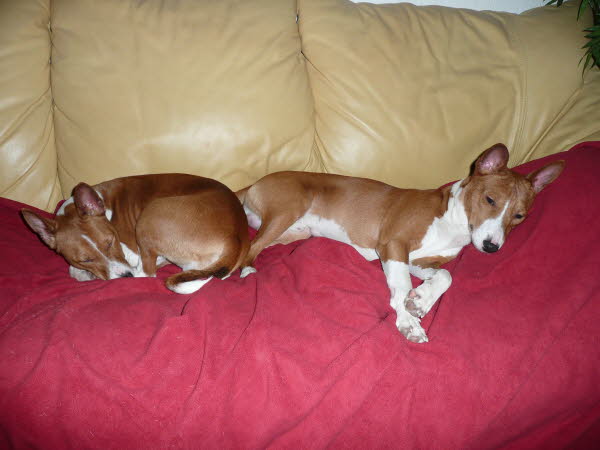 KIANGA & BALU