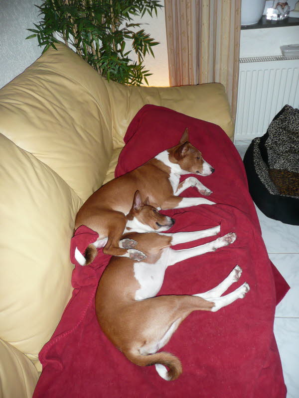 BALU & KIANGA