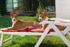 BALU & KIANGA