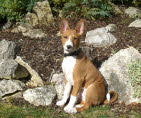 BALU