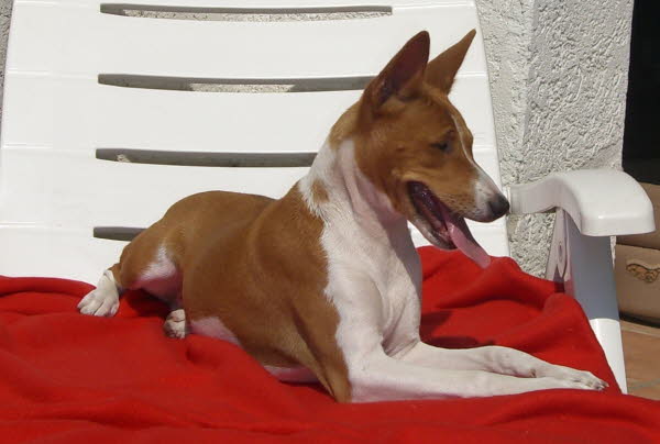 KIANGA